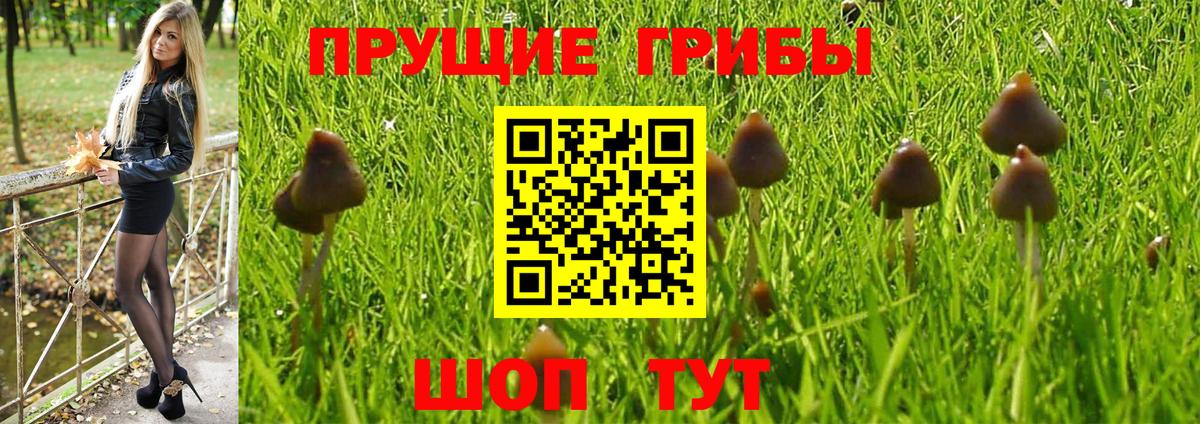 Десногорск  Гашиш  MDMA  НБОМе  Cocaine  Вход с VPN  Где купить  Каннабис  Мефедрон кристаллы 