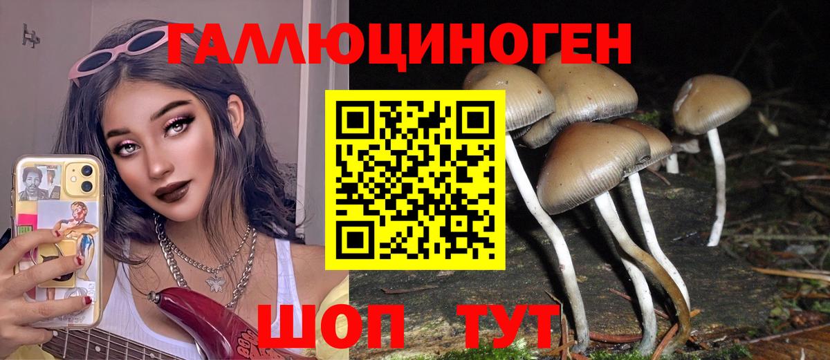 ГАШИШ Десногорск